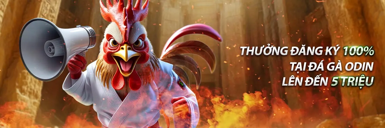 Hình ảnh chính blog 0mm88 đăng nhập